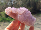 Natural Spirit Amethyst Clusters x 4 From Boekenhouthoek, South Africa - Toprock Gemstones and Minerals 