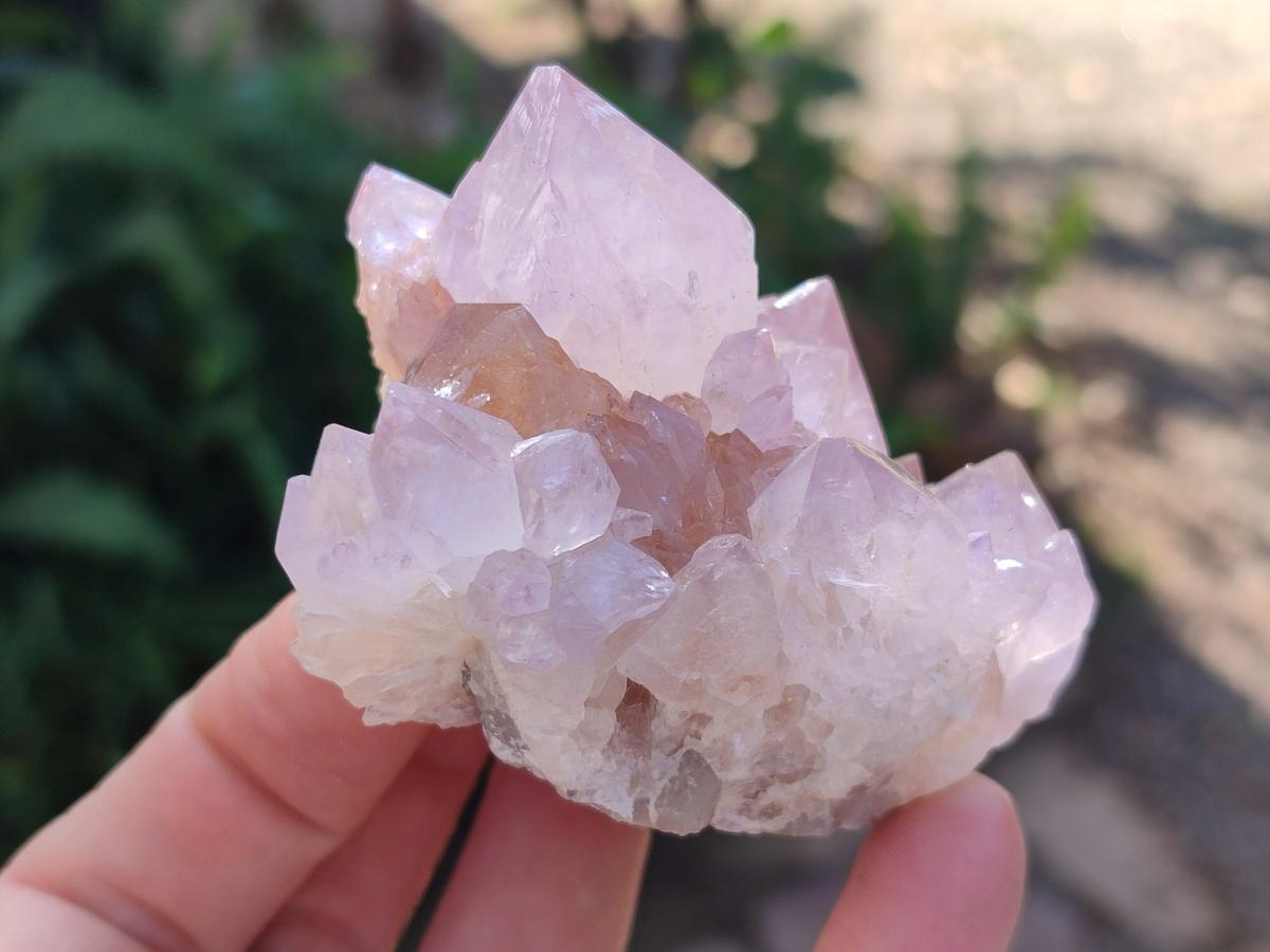 Natural Spirit Amethyst Clusters x 4 From Boekenhouthoek, South Africa - Toprock Gemstones and Minerals 