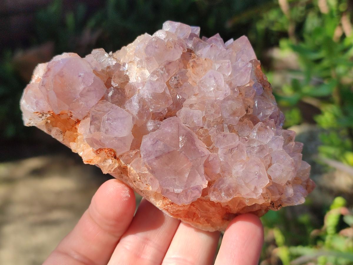 Natural Spirit Amethyst Clusters x 4 From Boekenhouthoek, South Africa - Toprock Gemstones and Minerals 