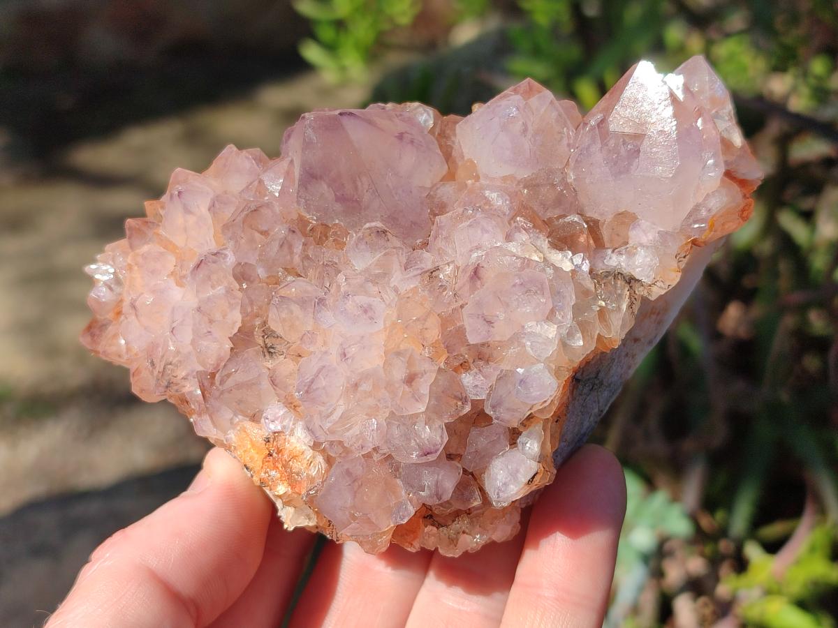 Natural Spirit Amethyst Clusters x 4 From Boekenhouthoek, South Africa - Toprock Gemstones and Minerals 
