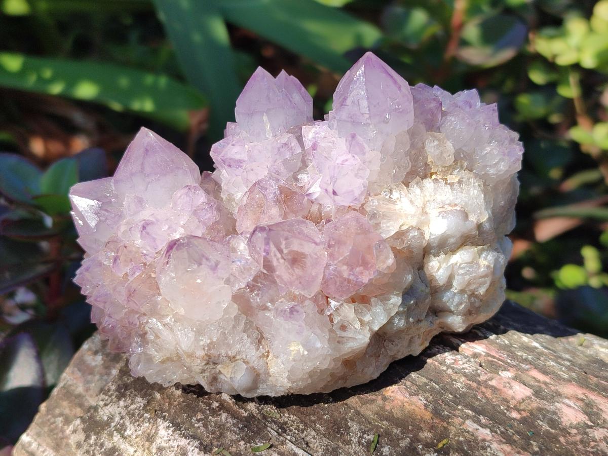 Natural Spirit Amethyst Clusters x 4 From Boekenhouthoek, South Africa - Toprock Gemstones and Minerals 