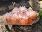 Natural Spirit Amethyst Clusters x 4 From Boekenhouthoek, South Africa - Toprock Gemstones and Minerals 