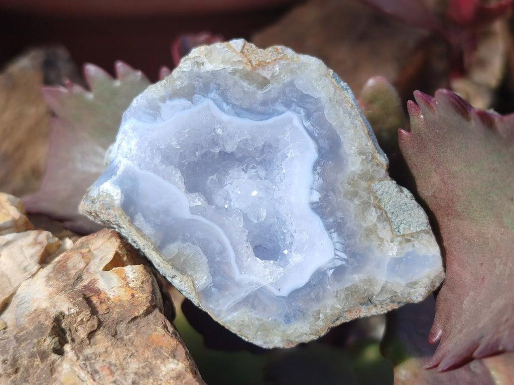 Polished One Side Blue Lace Agate Geodes x 12 From Nsanje, Malawi - Toprock Gemstones and Minerals 
