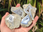 Polished One Side Blue Lace Agate Geodes x 12 From Nsanje, Malawi - Toprock Gemstones and Minerals 