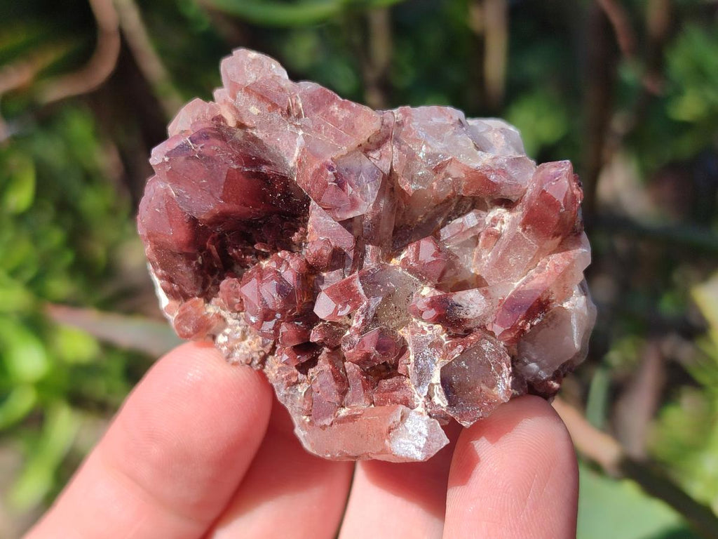 Natural Red Hematoid Quartz Crystals x 24 From Karoi, Zimbabwe - Toprock Gemstones and Minerals 