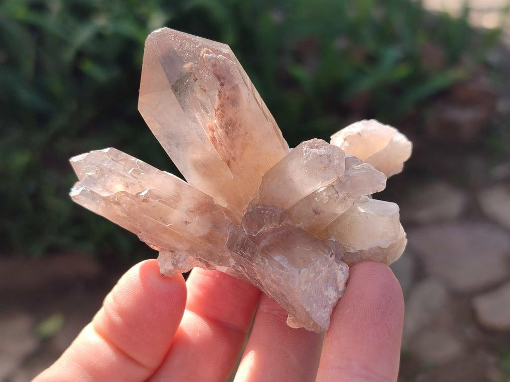 Natural Red Hematoid Quartz Crystals x 24 From Karoi, Zimbabwe - Toprock Gemstones and Minerals 