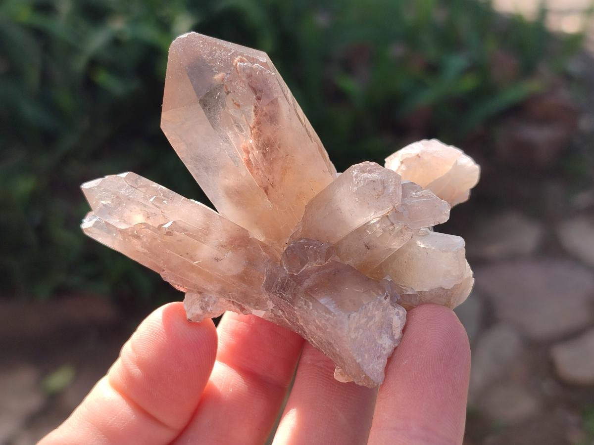Natural Red Hematoid Quartz Crystals x 24 From Karoi, Zimbabwe - Toprock Gemstones and Minerals 