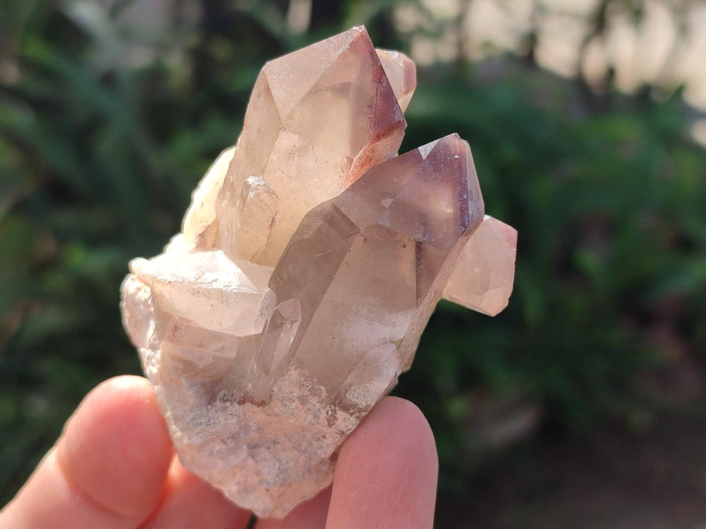 Natural Red Hematoid Quartz Crystals x 24 From Karoi, Zimbabwe - Toprock Gemstones and Minerals 