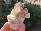 Natural Red Hematoid Quartz Crystals x 24 From Karoi, Zimbabwe - Toprock Gemstones and Minerals 