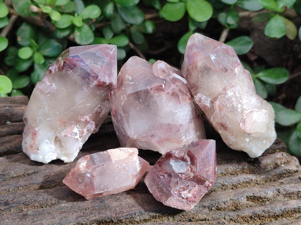 Natural Red Hematoid Quartz Crystals x 24 From Karoi, Zimbabwe - Toprock Gemstones and Minerals 