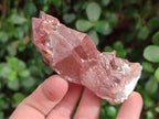 Natural Red Hematoid Quartz Crystals x 24 From Karoi, Zimbabwe - Toprock Gemstones and Minerals 
