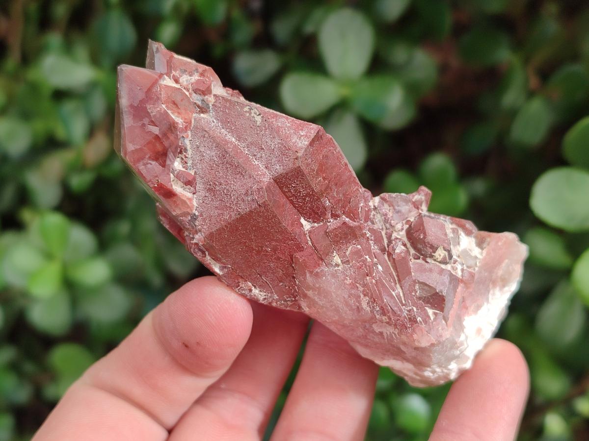 Natural Red Hematoid Quartz Crystals x 24 From Karoi, Zimbabwe - Toprock Gemstones and Minerals 