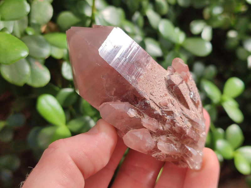Natural Red Hematoid Quartz Crystals x 24 From Karoi, Zimbabwe - Toprock Gemstones and Minerals 