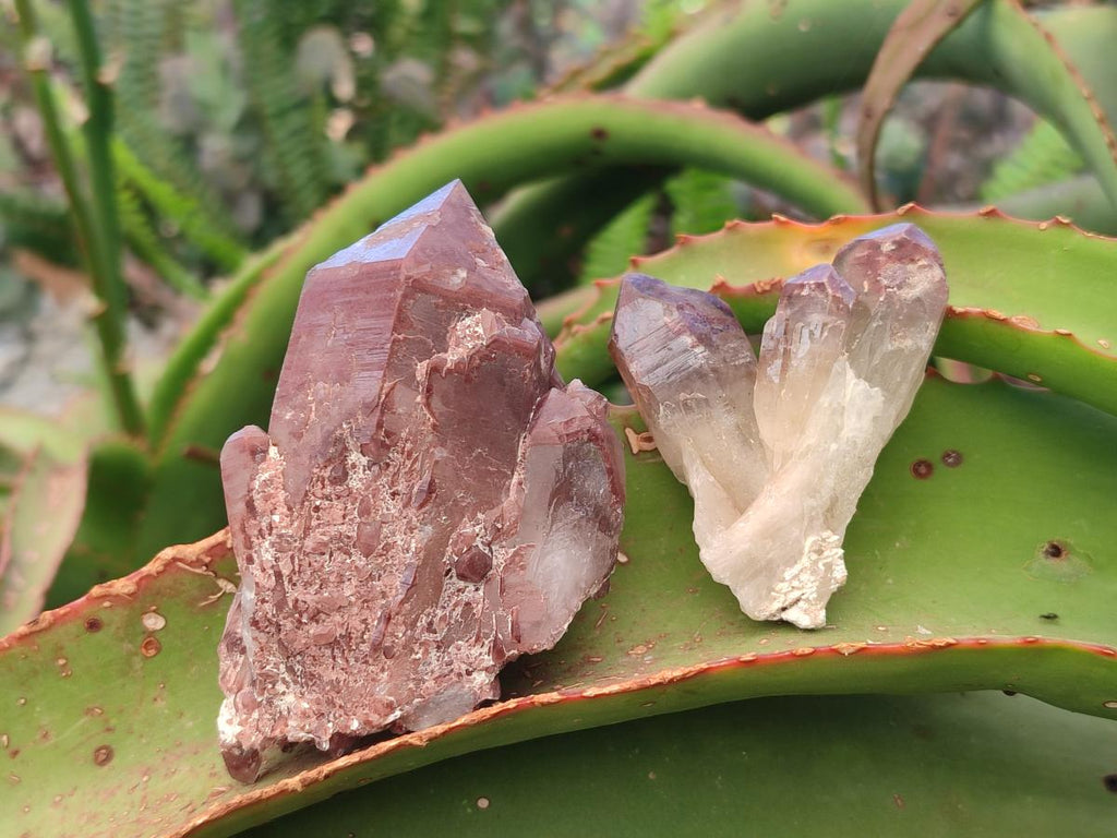 Natural Red Hematoid Quartz Crystals x 24 From Karoi, Zimbabwe - Toprock Gemstones and Minerals 