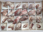 Natural Red Hematoid Quartz Crystals x 24 From Karoi, Zimbabwe - Toprock Gemstones and Minerals 
