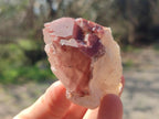 Natural Red Hematoid Quartz Crystals x 24 From Karoi, Zimbabwe - Toprock Gemstones and Minerals 