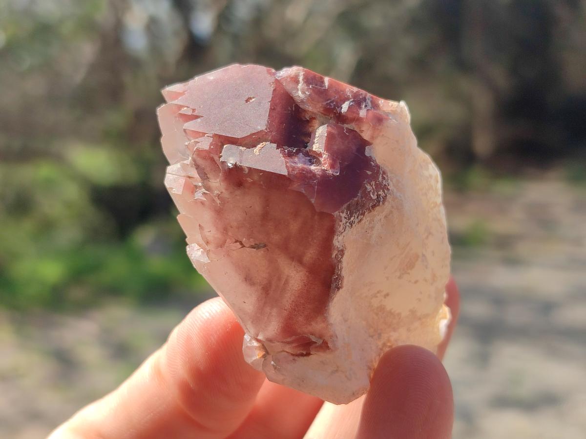 Natural Red Hematoid Quartz Crystals x 24 From Karoi, Zimbabwe - Toprock Gemstones and Minerals 