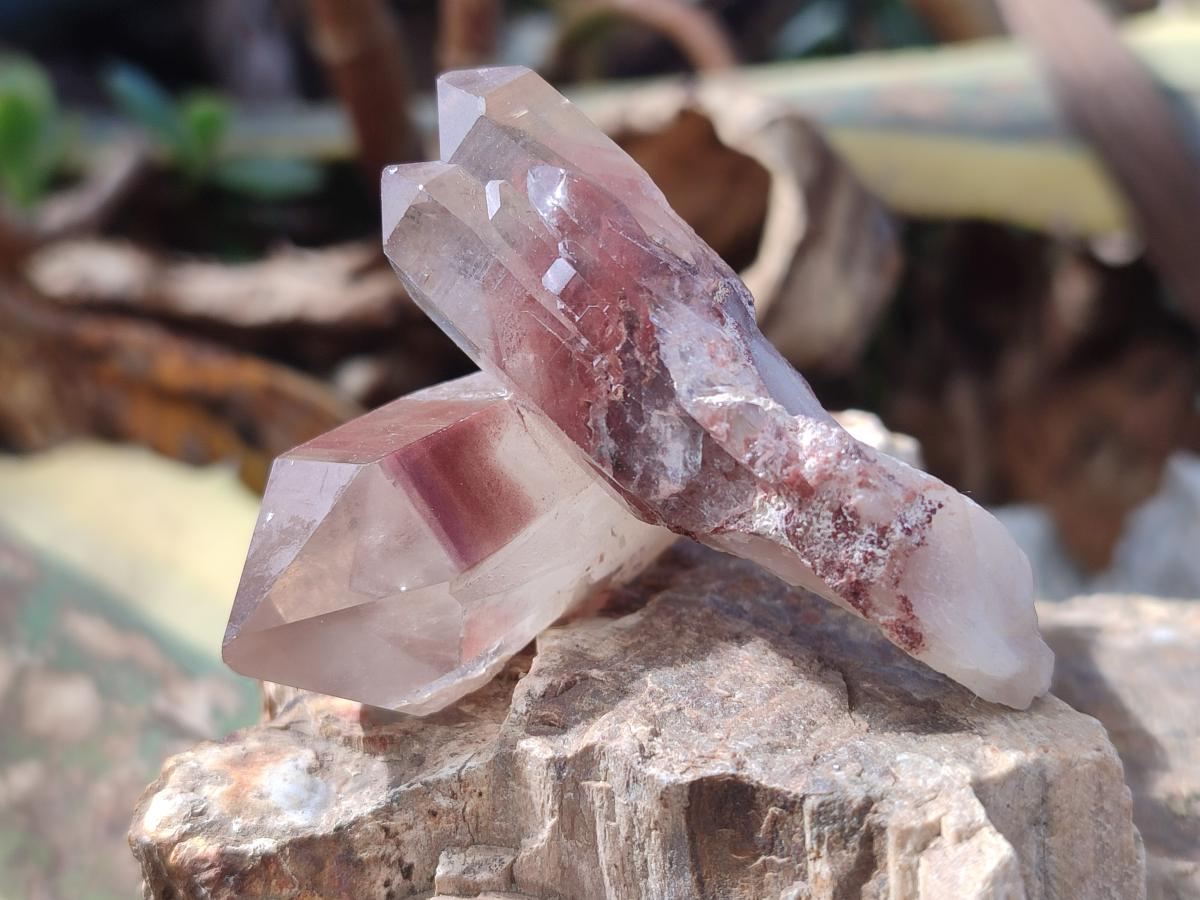Natural Red Hematoid Quartz Crystals x 24 From Karoi, Zimbabwe - Toprock Gemstones and Minerals 