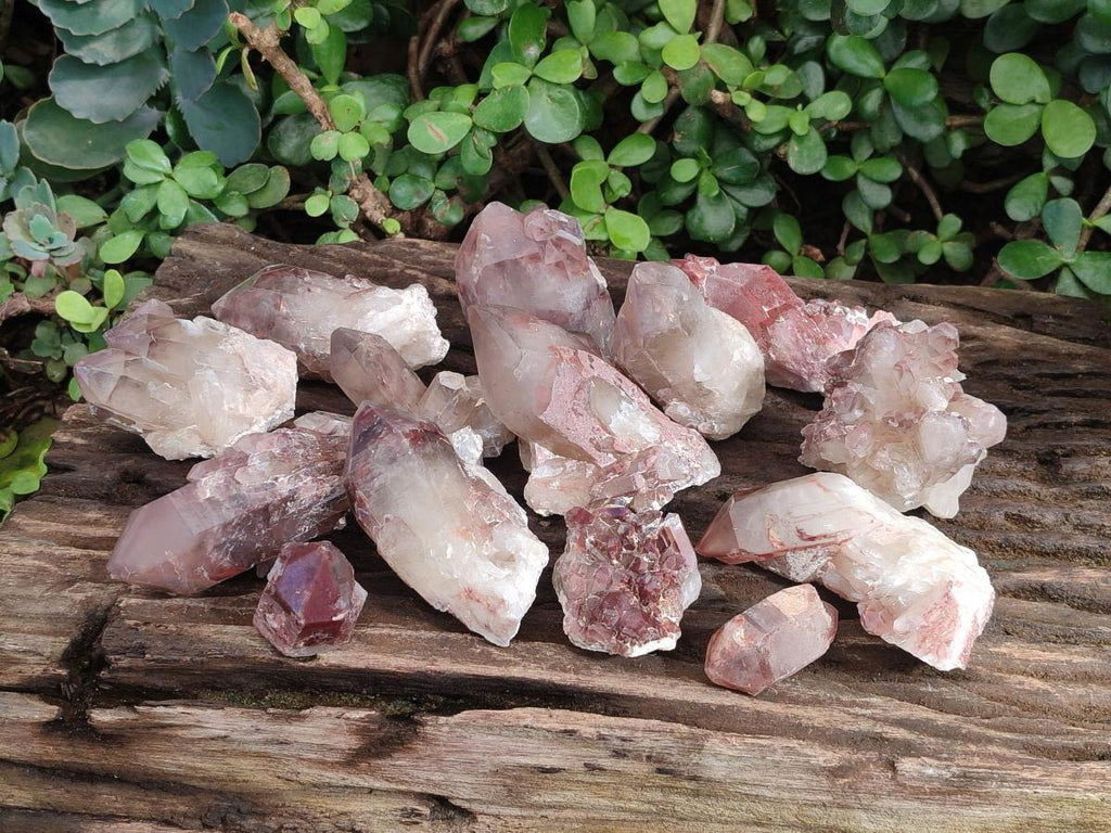 Natural Red Hematoid Quartz Crystals x 24 From Karoi, Zimbabwe - Toprock Gemstones and Minerals 
