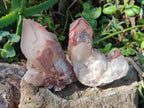 Natural Red Hematoid Quartz Crystals x 24 From Karoi, Zimbabwe - Toprock Gemstones and Minerals 
