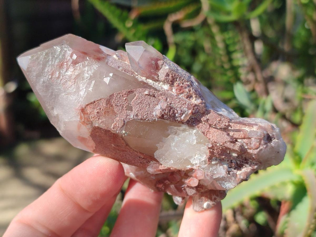 Natural Red Hematoid Quartz Crystals x 24 From Karoi, Zimbabwe - Toprock Gemstones and Minerals 