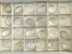 Polished Rock Crystal Galets x 24 From Amoron’i Mania, Madagascar - Toprock Gemstones and Minerals 