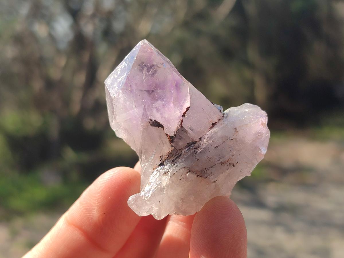 Natural Jacaranda Amethyst Single Crystals x 35 From Mumbwa, Zambia - Toprock Gemstones and Minerals 