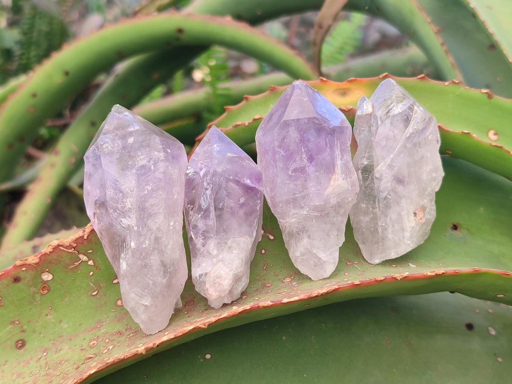 Natural Jacaranda Amethyst Single Crystals x 35 From Mumbwa, Zambia - Toprock Gemstones and Minerals 