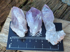 Natural Jacaranda Amethyst Single Crystals x 35 From Mumbwa, Zambia - Toprock Gemstones and Minerals 