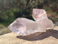 Natural Jacaranda Amethyst Single Crystals x 35 From Mumbwa, Zambia - Toprock Gemstones and Minerals 