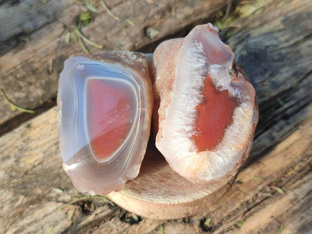 Polished One Side Red Shashe River Agate Nodules x 35 From Shashe River, Zimbabwe - Toprock Gemstones and Minerals 