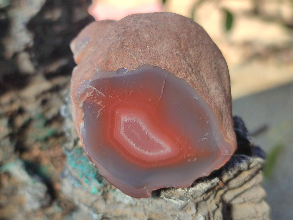 Polished One Side Red Shashe River Agate Nodules x 35 From Shashe River, Zimbabwe - Toprock Gemstones and Minerals 