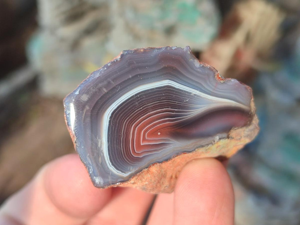 Polished One Side Red Shashe River Agate Nodules x 35 From Shashe River, Zimbabwe - Toprock Gemstones and Minerals 
