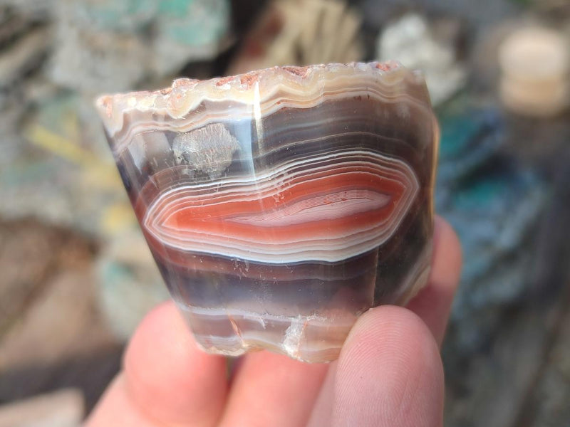 Polished One Side Red Shashe River Agate Nodules x 35 From Shashe River, Zimbabwe - Toprock Gemstones and Minerals 
