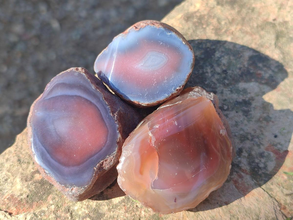 Polished One Side Red Shashe River Agate Nodules x 35 From Shashe River, Zimbabwe - Toprock Gemstones and Minerals 