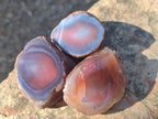 Polished One Side Red Shashe River Agate Nodules x 35 From Shashe River, Zimbabwe - Toprock Gemstones and Minerals 
