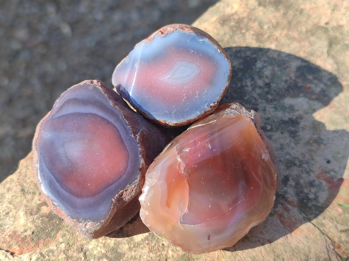 Polished One Side Red Shashe River Agate Nodules x 35 From Shashe River, Zimbabwe - Toprock Gemstones and Minerals 