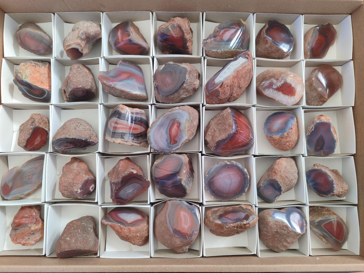 Polished One Side Red Shashe River Agate Nodules x 35 From Shashe River, Zimbabwe - Toprock Gemstones and Minerals 