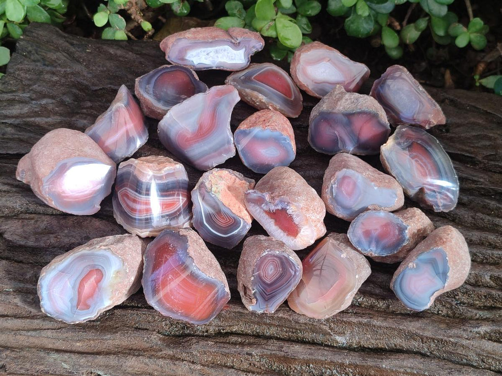 Polished One Side Red Shashe River Agate Nodules x 35 From Shashe River, Zimbabwe - Toprock Gemstones and Minerals 