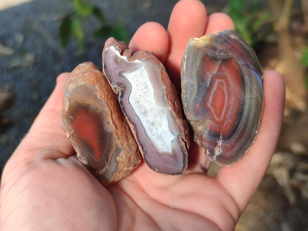 Polished One Side Red Shashe River Agate Nodules x 35 From Shashe River, Zimbabwe - Toprock Gemstones and Minerals 