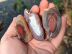 Polished One Side Red Shashe River Agate Nodules x 35 From Shashe River, Zimbabwe - Toprock Gemstones and Minerals 