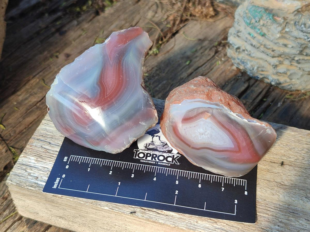 Polished One Side Red Shashe River Agate Nodules x 35 From Shashe River, Zimbabwe - Toprock Gemstones and Minerals 
