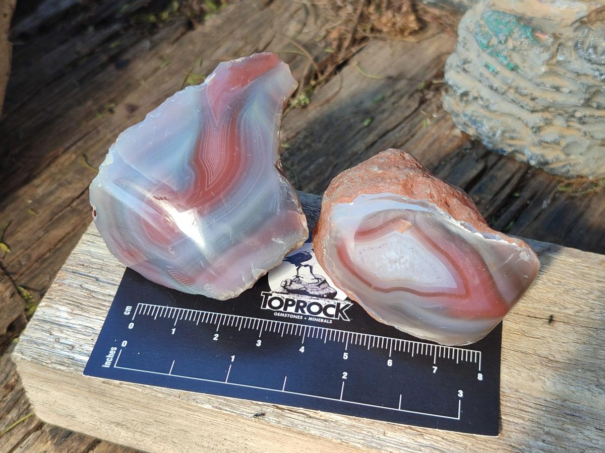 Polished One Side Red Shashe River Agate Nodules x 35 From Shashe River, Zimbabwe - Toprock Gemstones and Minerals 