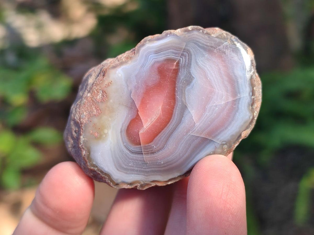 Polished One Side Red Shashe River Agate Nodules x 35 From Shashe River, Zimbabwe - Toprock Gemstones and Minerals 