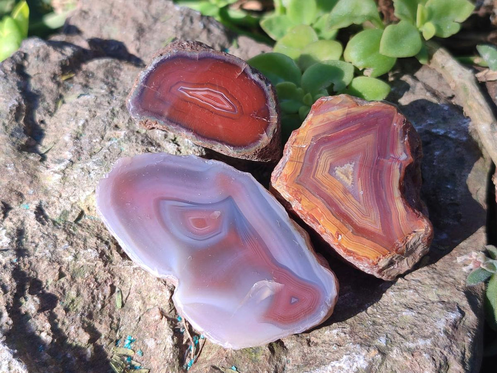Polished One Side Red Shashe River Agate Nodules x 35 From Shashe River, Zimbabwe - Toprock Gemstones and Minerals 