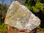 Natural Agatized Coral Specimen with Stalagmites x 1 From Didi, Madagascar - Toprock Gemstones and Minerals 