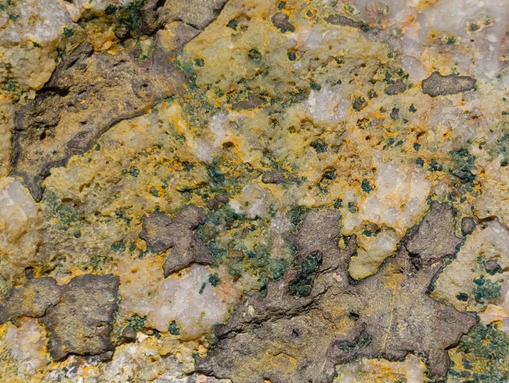 Natural Agatized Coral Specimen with Stalagmites x 1 From Didi, Madagascar - Toprock Gemstones and Minerals 