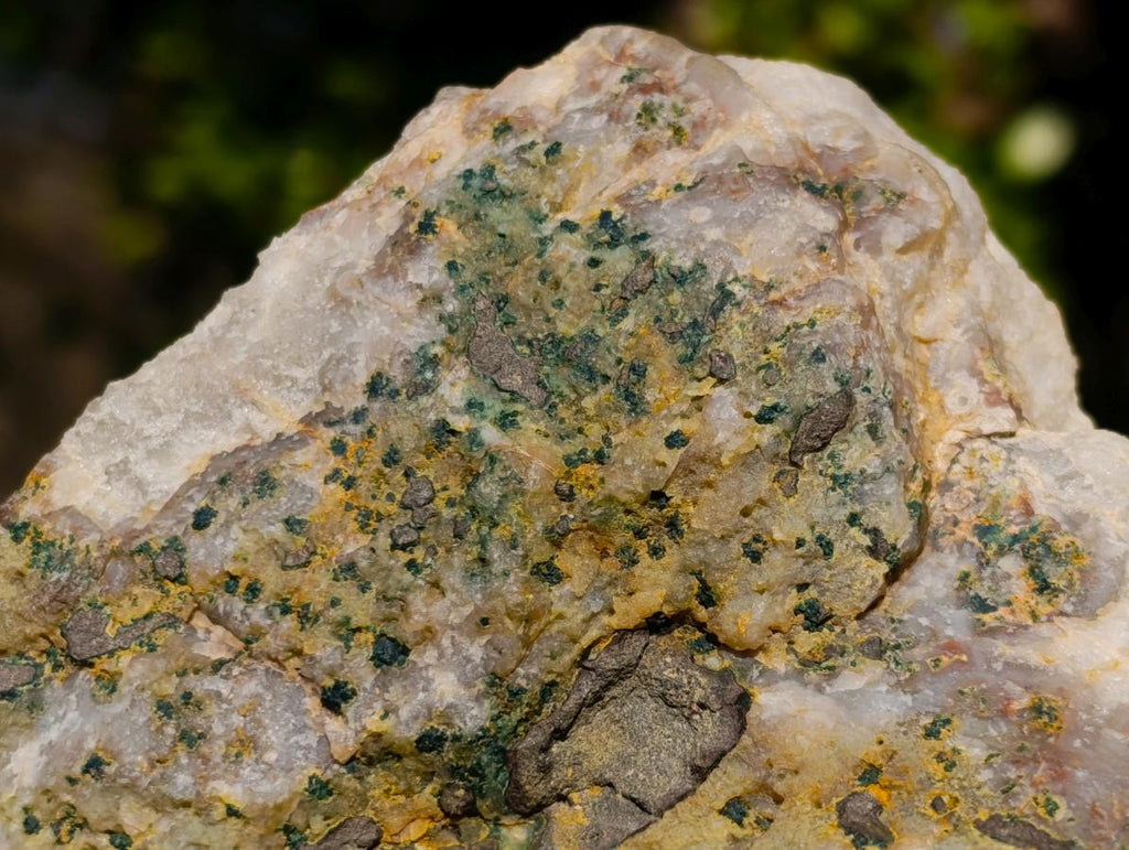 Natural Agatized Coral Specimen with Stalagmites x 1 From Didi, Madagascar - Toprock Gemstones and Minerals 