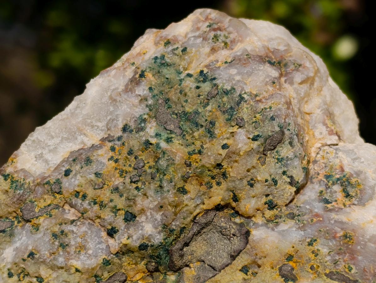Natural Agatized Coral Specimen with Stalagmites x 1 From Didi, Madagascar - Toprock Gemstones and Minerals 