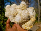 Natural Agatized Coral Specimen with Stalagmites x 1 From Didi, Madagascar - Toprock Gemstones and Minerals 